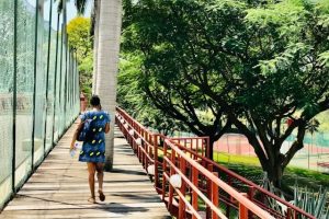 How businesses attract more social media followers in Abuja